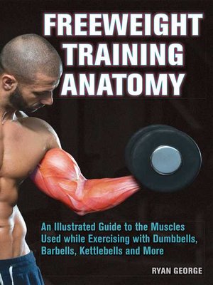 cover image of Freeweight Training Anatomy